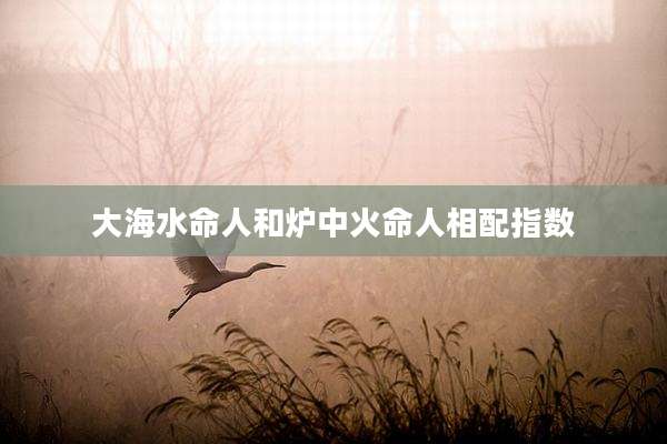 大海水命人和炉中火命人相配指数