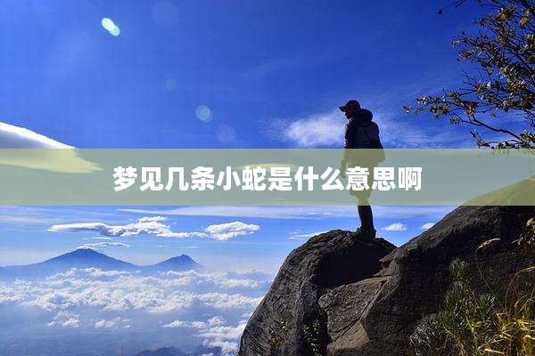梦见几条小蛇是什么意思啊