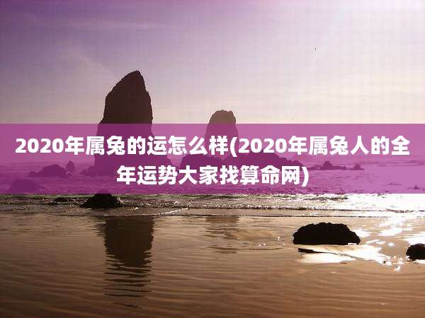 2020年属兔的运怎么样(2020年属兔人的全年运势大家找算命网)