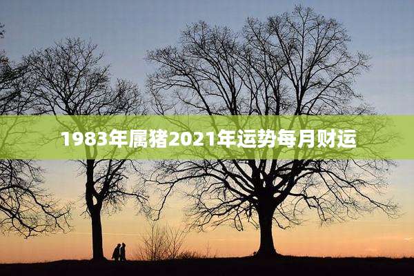 1983年属猪2021年运势每月财运