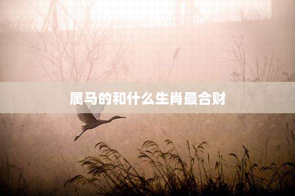 属马的和什么生肖最合财