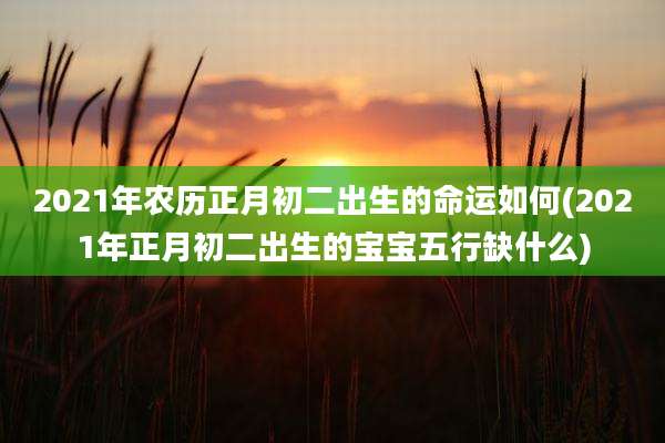 2021年农历正月初二出生的命运如何(2021年正月初二出生的宝宝五行缺什么)