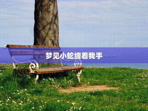 梦见小蛇缠着我手