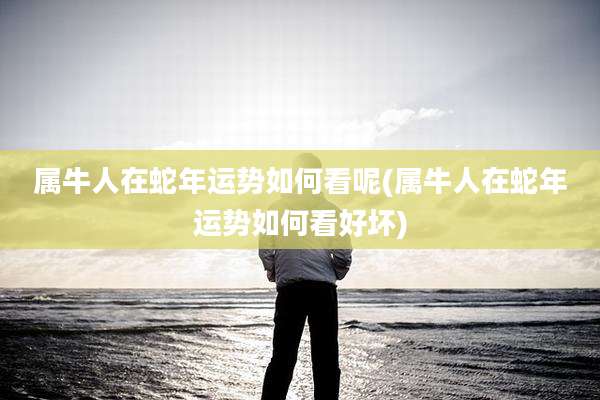 属牛人在蛇年运势如何看呢(属牛人在蛇年运势如何看好坏)
