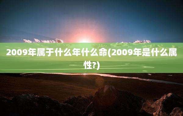 2009年属于什么年什么命(2009年是什么属性?)