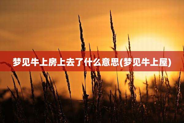 梦见牛上房上去了什么意思(梦见牛上屋)