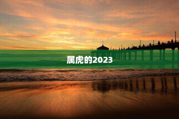 属虎的2023