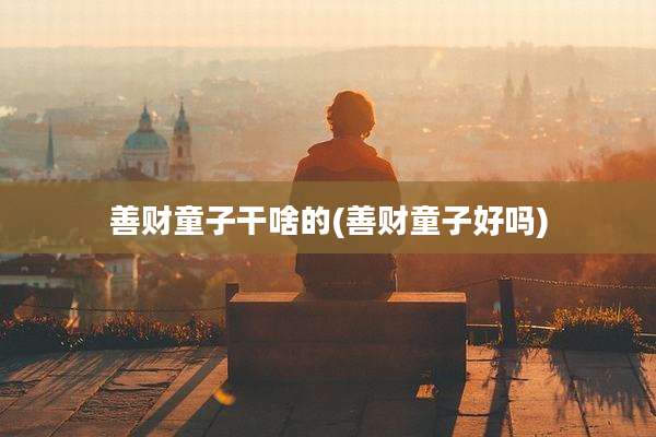 善财童子干啥的(善财童子好吗)