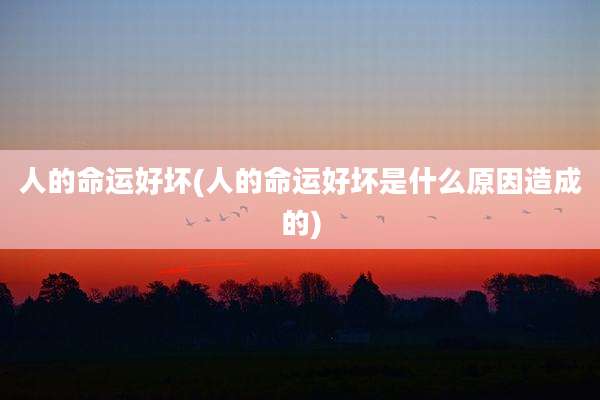 人的命运好坏(人的命运好坏是什么原因造成的)