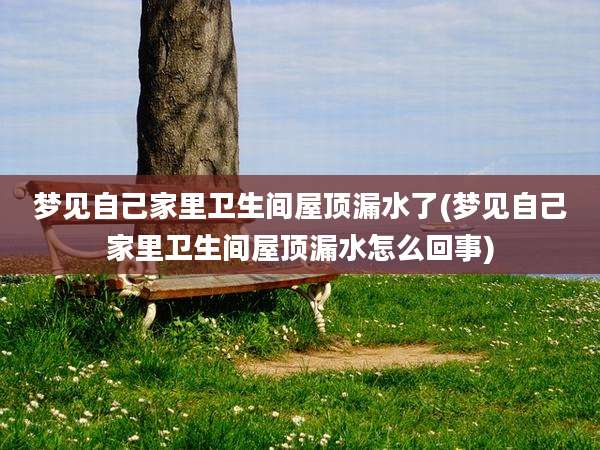 梦见自己家里卫生间屋顶漏水了(梦见自己家里卫生间屋顶漏水怎么回事)