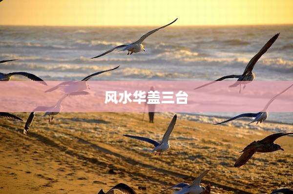风水华盖三台