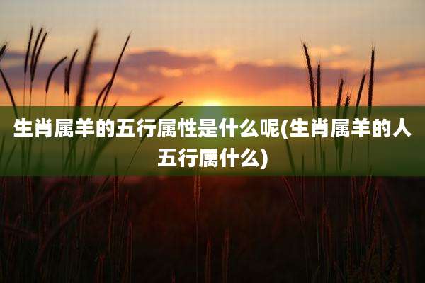 生肖属羊的五行属性是什么呢(生肖属羊的人五行属什么)