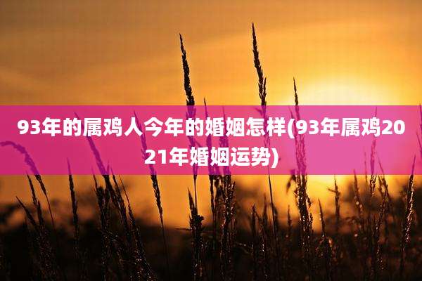 93年的属鸡人今年的婚姻怎样(93年属鸡2021年婚姻运势)