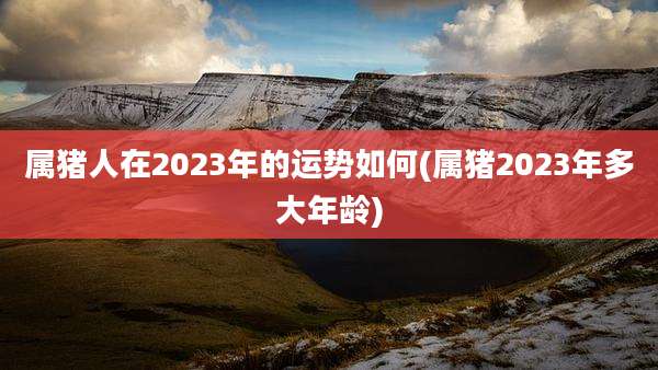 属猪人在2023年的运势如何(属猪2023年多大年龄)