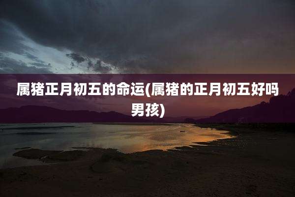 属猪正月初五的命运(属猪的正月初五好吗男孩)