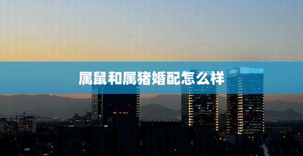 属鼠和属猪婚配怎么样