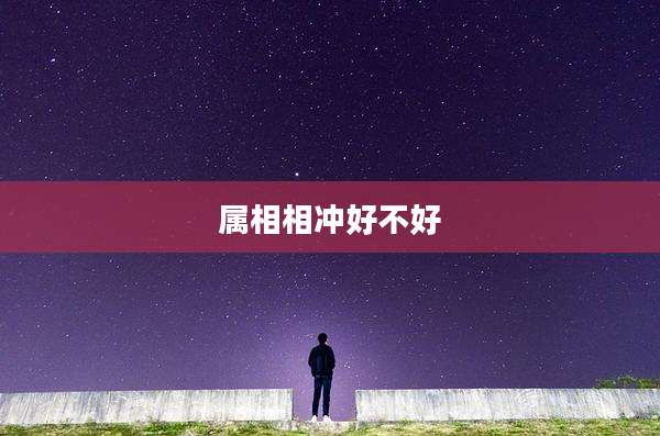 属相相冲好不好