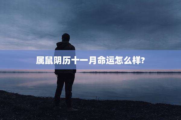 属鼠阴历十一月命运怎么样?