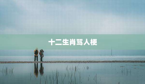 十二生肖骂人梗