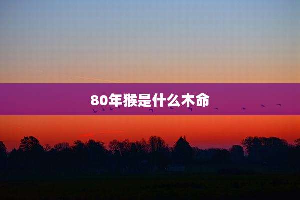 80年猴是什么木命