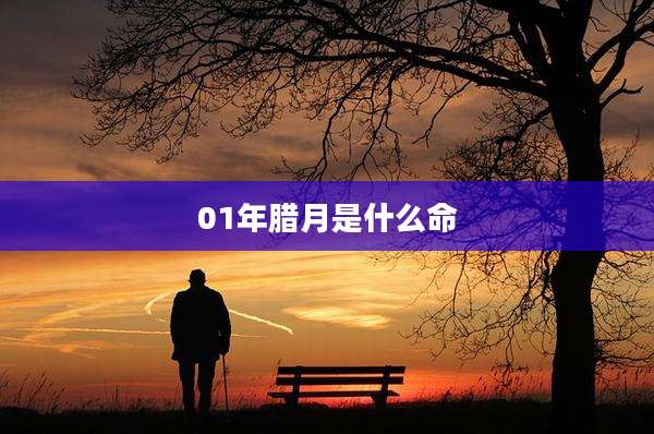 01年腊月是什么命
