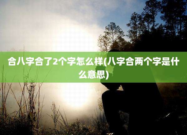 合八字合了2个字怎么样(八字合两个字是什么意思)