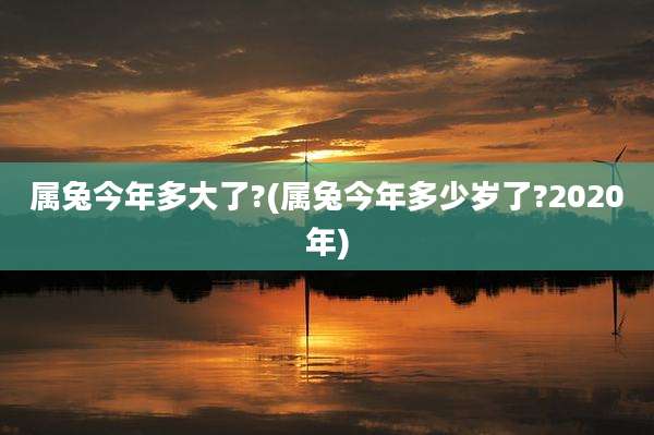属兔今年多大了?(属兔今年多少岁了?2020年)