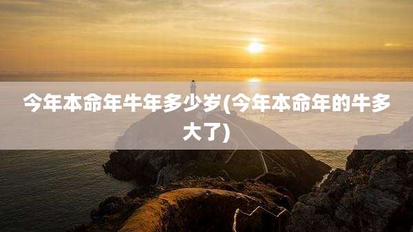 今年本命年牛年多少岁(今年本命年的牛多大了)