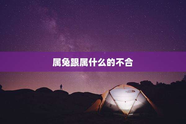 属兔跟属什么的不合