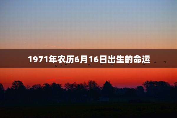 1971年农历6月16日出生的命运