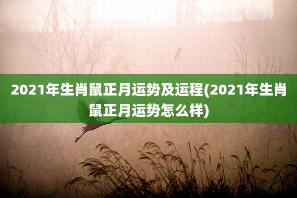 2021年生肖鼠正月运势及运程(2021年生肖鼠正月运势怎么样)