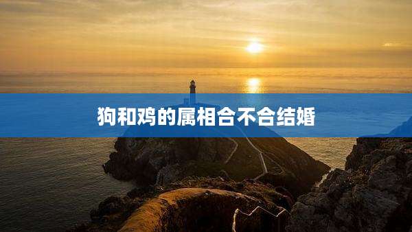 狗和鸡的属相合不合结婚