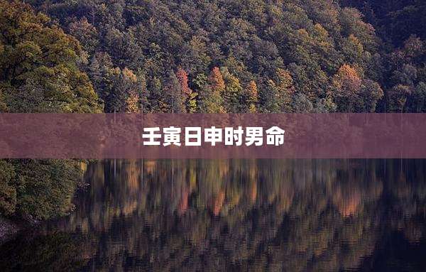 壬寅日申时男命