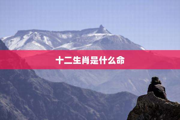 十二生肖是什么命