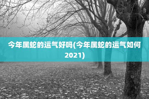 今年属蛇的运气好吗(今年属蛇的运气如何2021)