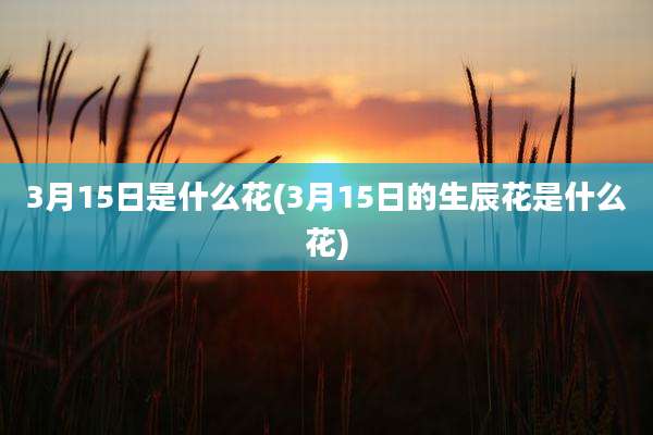 3月15日是什么花(3月15日的生辰花是什么花)