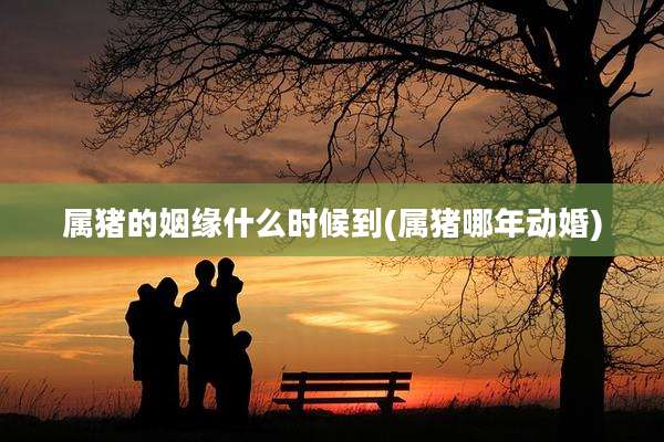 属猪的姻缘什么时候到(属猪哪年动婚)
