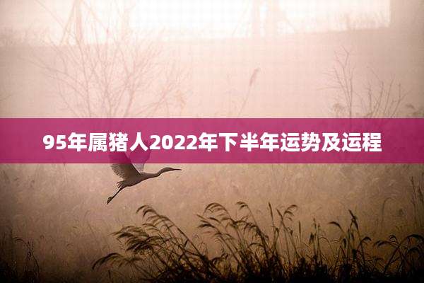 95年属猪人2022年下半年运势及运程