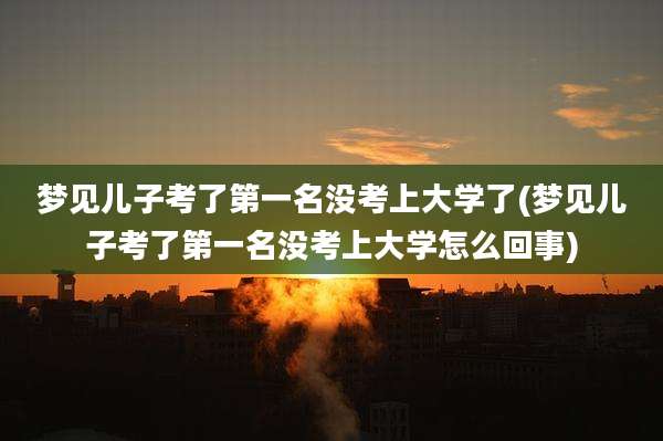 梦见儿子考了第一名没考上大学了(梦见儿子考了第一名没考上大学怎么回事)