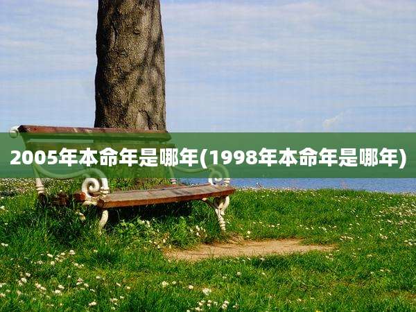 2005年本命年是哪年(1998年本命年是哪年)