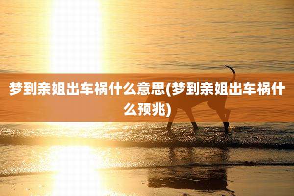 梦到亲姐出车祸什么意思(梦到亲姐出车祸什么预兆)