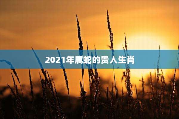 2021年属蛇的贵人生肖