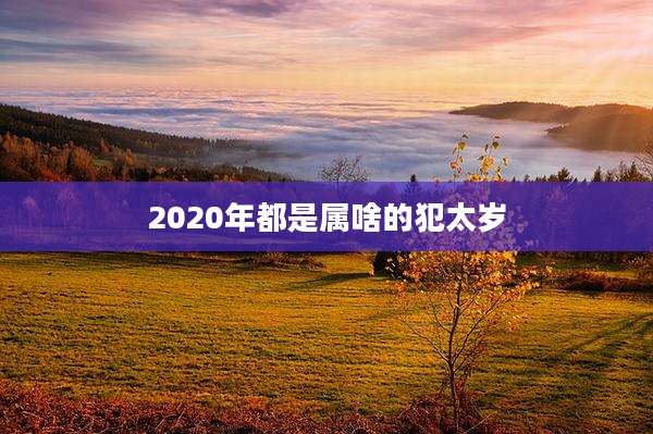 2020年都是属啥的犯太岁