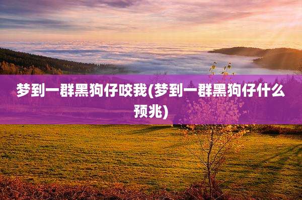梦到一群黑狗仔咬我(梦到一群黑狗仔什么预兆)