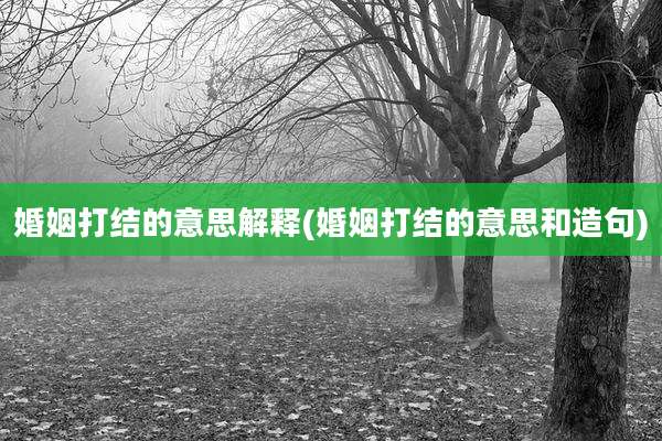 婚姻打结的意思解释(婚姻打结的意思和造句)