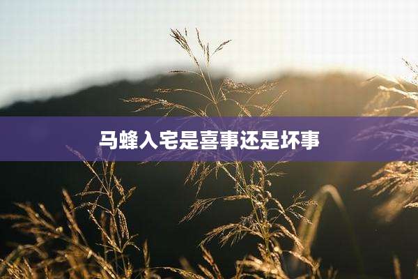 马蜂入宅是喜事还是坏事