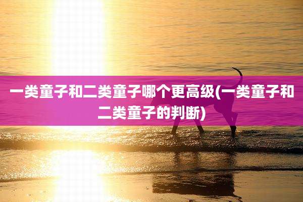 一类童子和二类童子哪个更高级(一类童子和二类童子的判断)