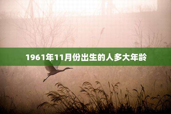 1961年11月份出生的人多大年龄