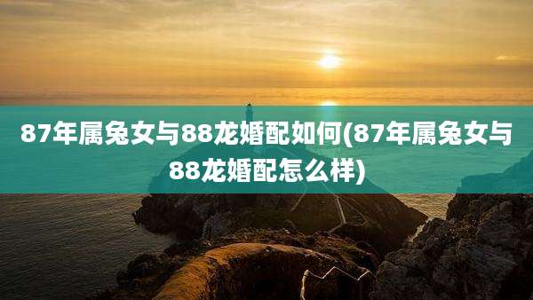 87年属兔女与88龙婚配如何(87年属兔女与88龙婚配怎么样)
