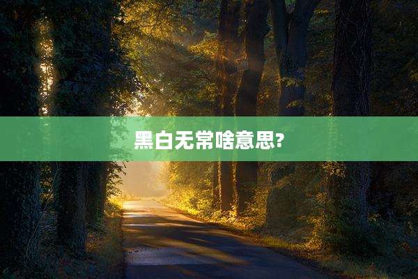 黑白无常啥意思?